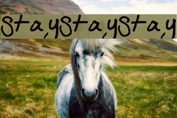 StayStayStay Example 2