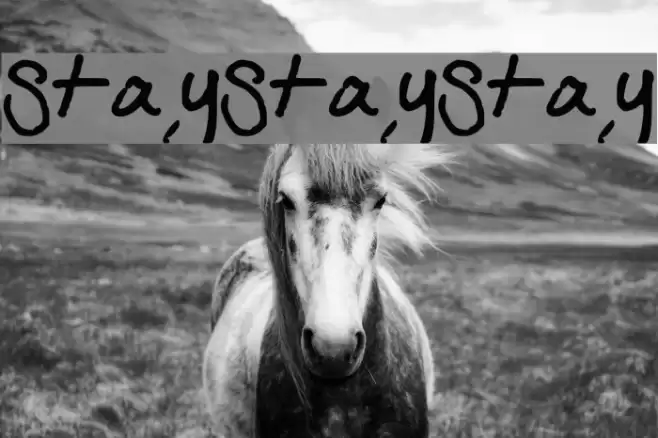 StayStayStay Font examples
