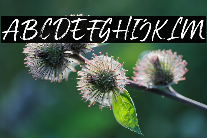 StayStrongDemo Example 1