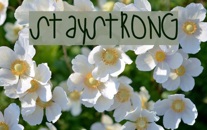 StayStrong Font examples