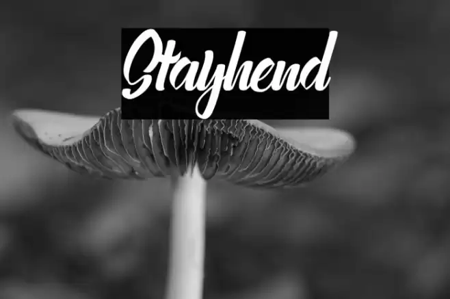 Stayhend Font examples