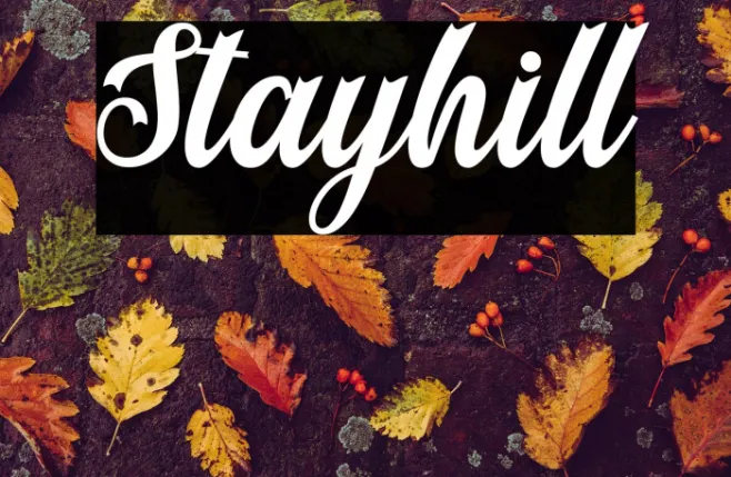 Stayhill Example 3