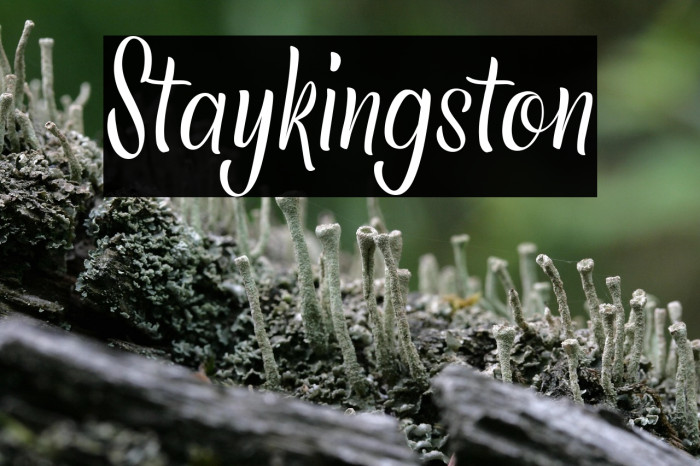Staykingston Example 1