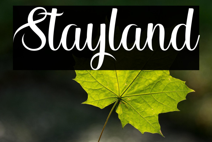 Stayland Example 2