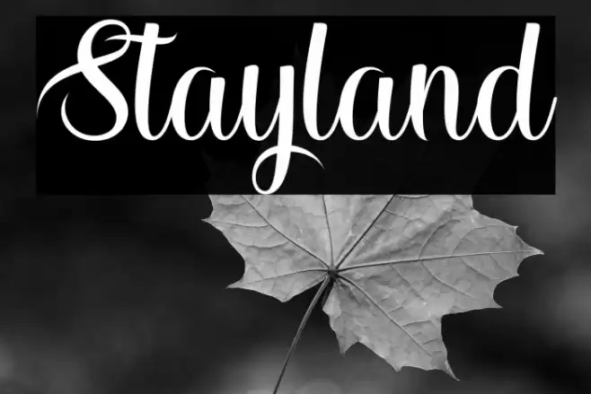 Stayland Font examples