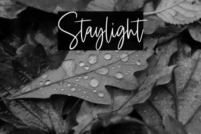 Staylight Шрифта examples