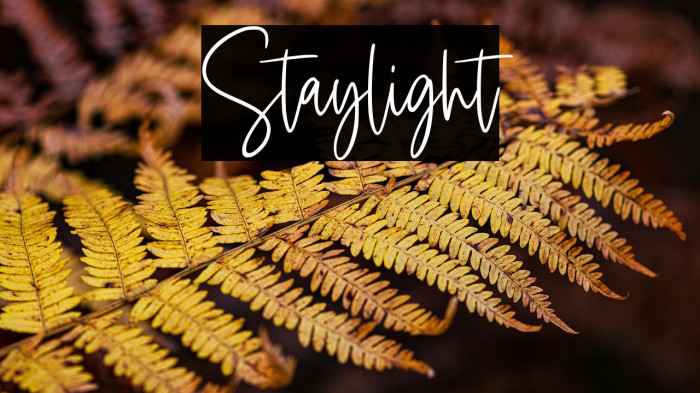 Staylight Example 3
