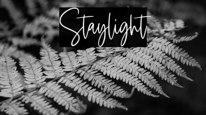 Staylight Шрифта examples
