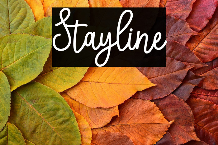 Stayline Example 1