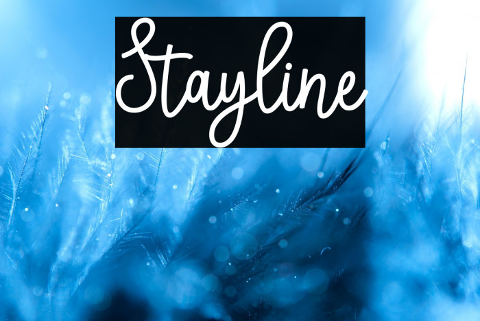 Stayline Example 3