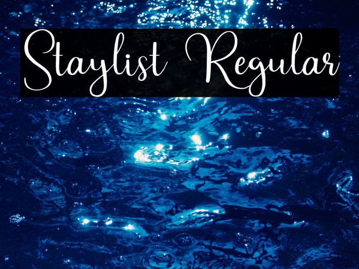 Staylist Regular Example 2