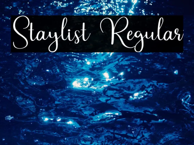 Staylist Regular Example 2