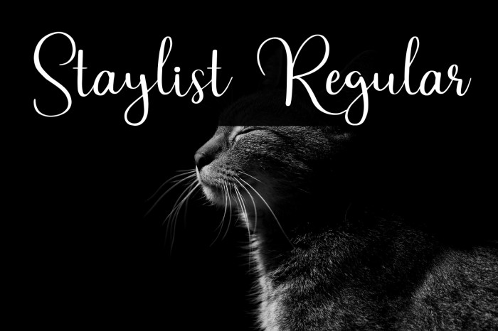 Staylist Regular Example 3