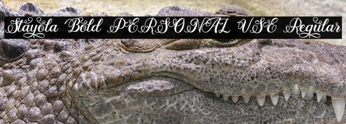 Stayola Bold PERSONAL USE Regular Example 3