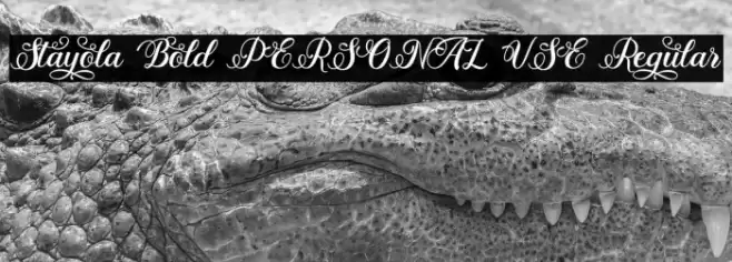 Stayola Bold PERSONAL USE Regular Font examples