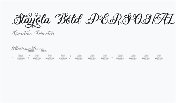 Stayola Bold PERSONAL USE Regular Business Card