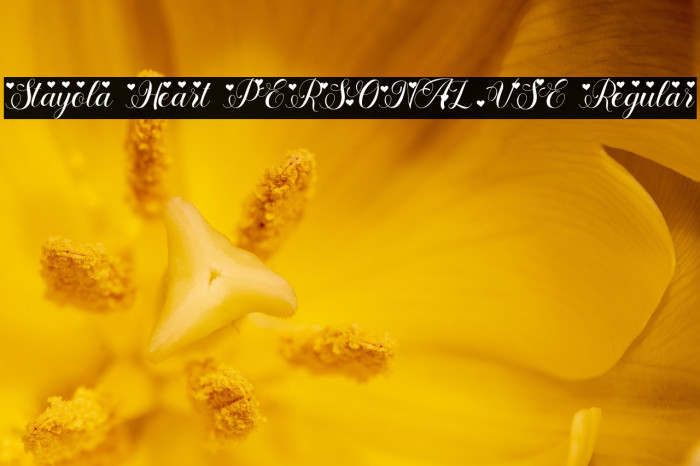 Stayola Heart PERSONAL USE Regular Example 1