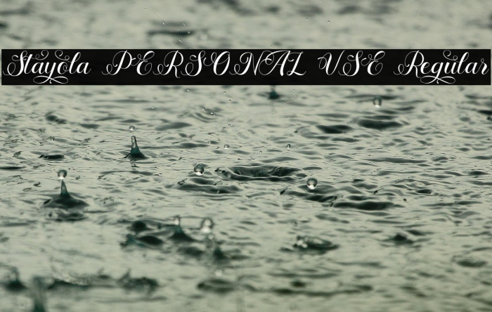 Stayola PERSONAL USE Regular Example 3