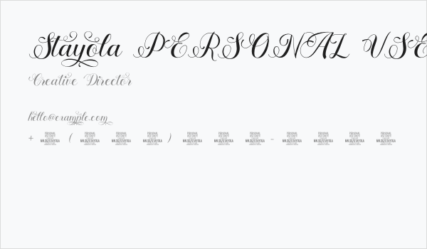 Stayola PERSONAL USE Regular Business Card