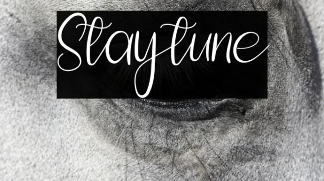 Staytune Example 1