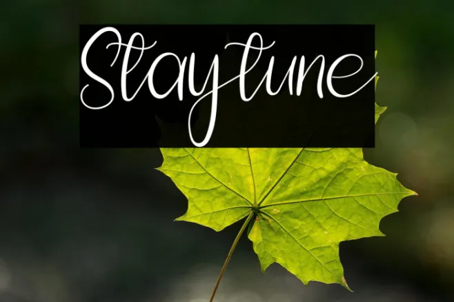 Staytune Example 2
