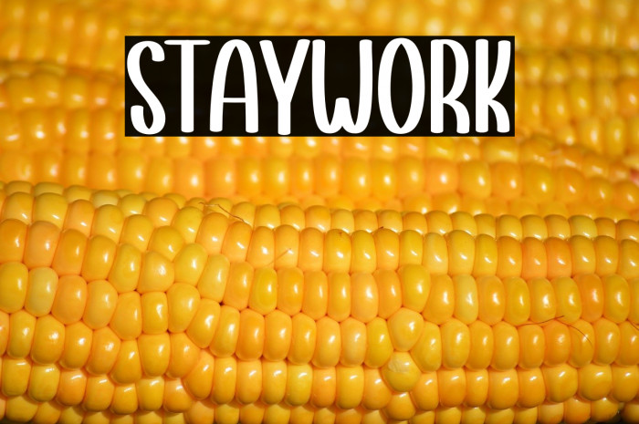 Staywork Example 2
