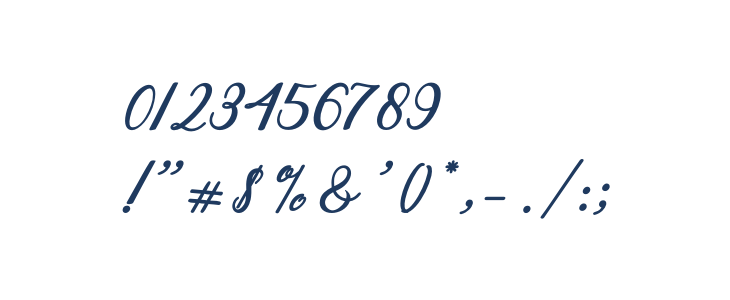 Steady Other Characters