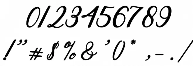 Steady Font OTHER CHARS