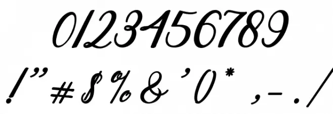 Steady Font OTHER CHARS