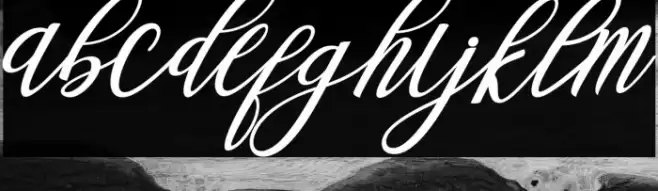 Steady Font examples