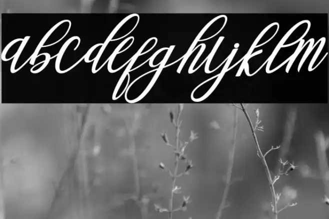 Steady Font examples