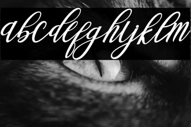 Steady Font examples