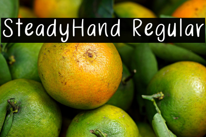 SteadyHand Regular Example 1