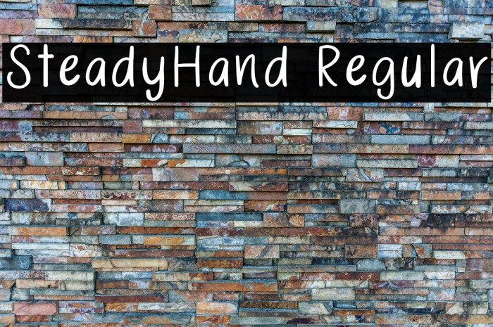 SteadyHand Regular Example 2