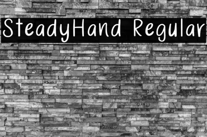 SteadyHand Regular フォント examples