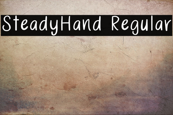 SteadyHand Regular Example 3