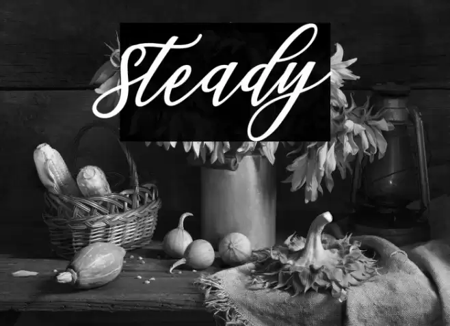 Steady Font examples