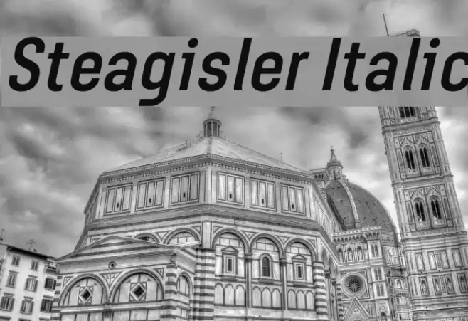 Steagisler Italic Font examples