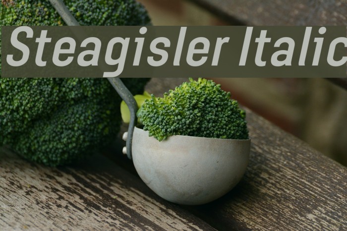 Steagisler Italic Font examples