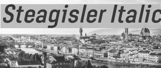 Steagisler Italic Font examples