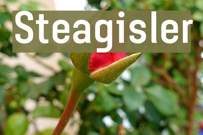 Steagisler Font examples