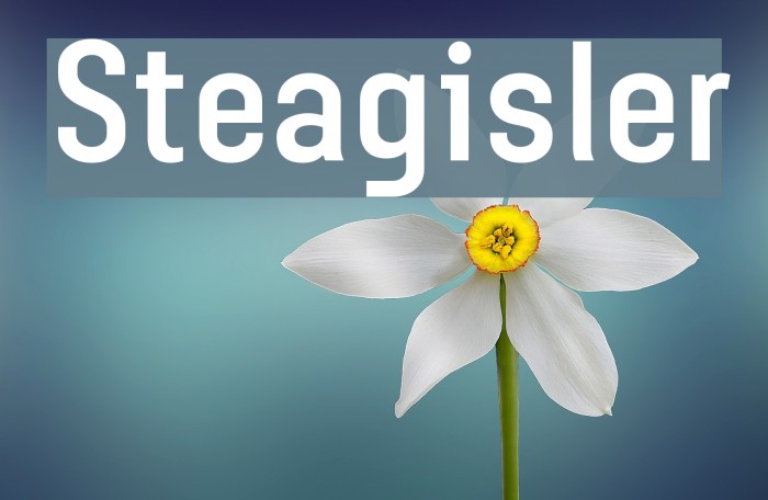 Steagisler Font examples