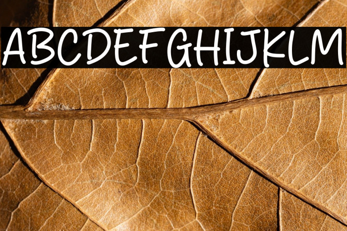 Steak Break Font examples