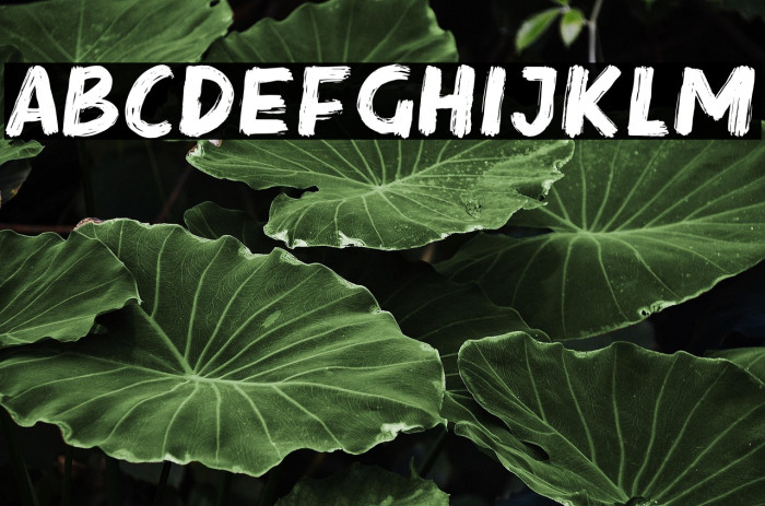 SteakRough Example 1