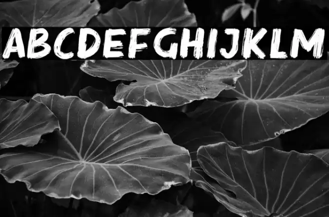 SteakRough Font examples