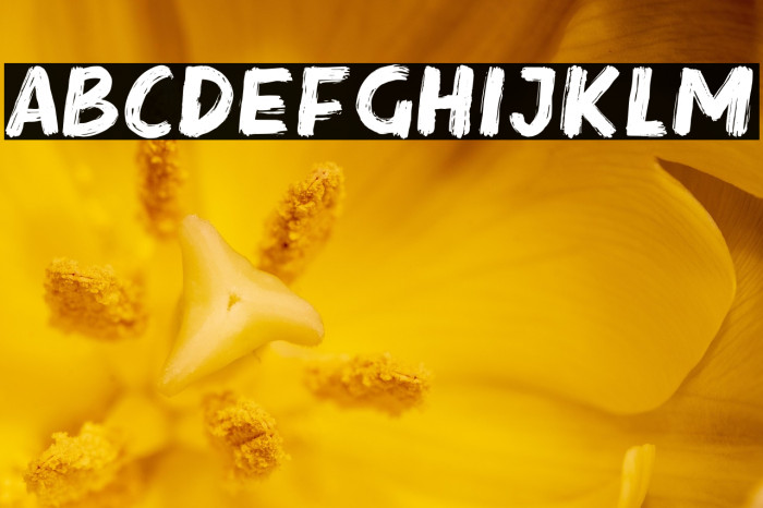 SteakRough Example 2