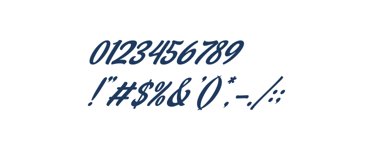 Stealdream Italic Other Characters