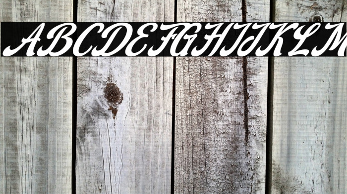 Stealdream Italic Example 1