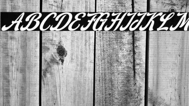 Stealdream Italic Font examples