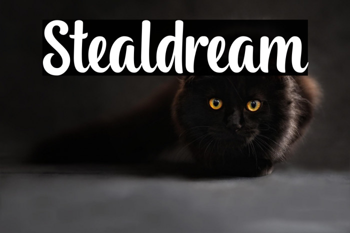 Stealdream Example 1